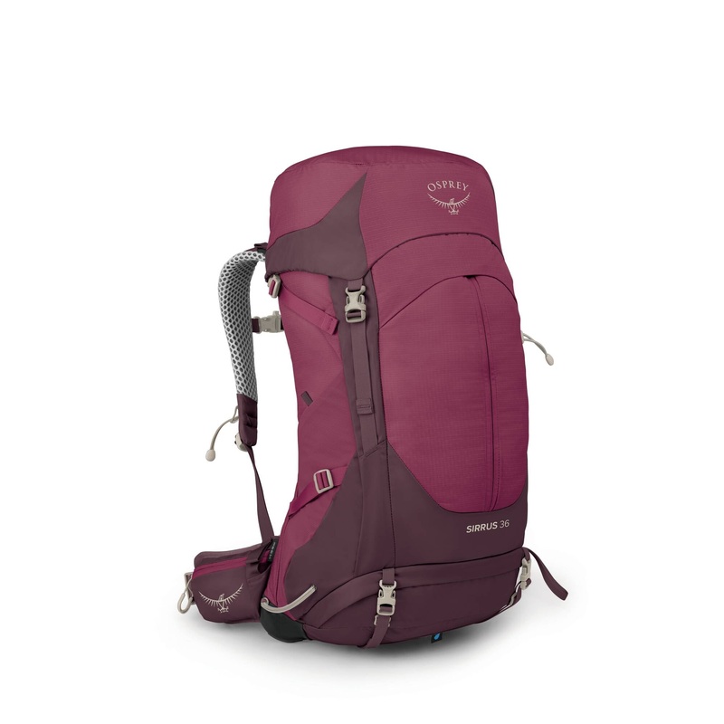 Sirrus  36 - Elderberry Purple