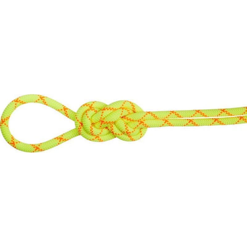 9.5mm Alpine Core Protect Dry Rope 70m